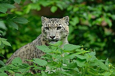 《黑相集：心魔》新预告 陷入恐怖陷阱的制片人